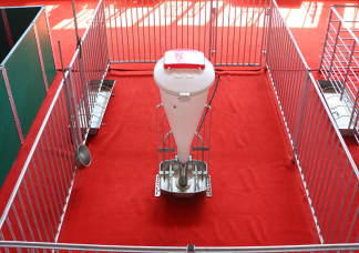 Large Fattening Pens