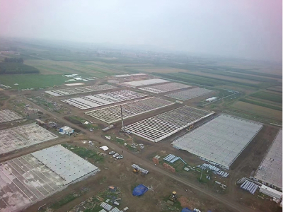 Hubei 9,000 sow breeding plant + 120,000 fattening pigs factory project