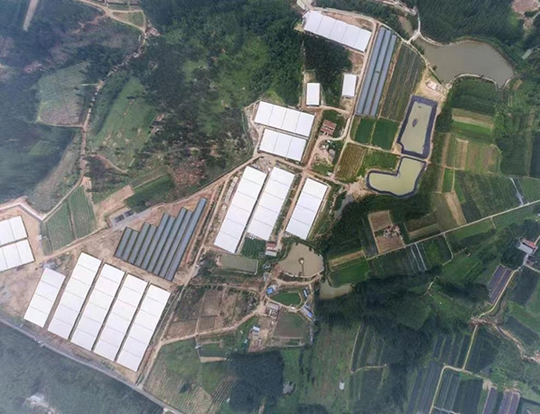 Dự án nhà máy vỗ béo 50.000 con lợn vỗ béo Qingdao Huangdao