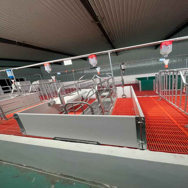 Giường đẻ heo con