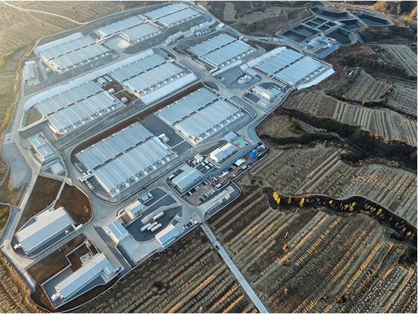 The modern pig farm was successfully completed in Sheyang County, Yancheng City, Jiangsu Province The modern pig farm was successfully completed in Sheyang County, Yancheng City, Jiangsu Province