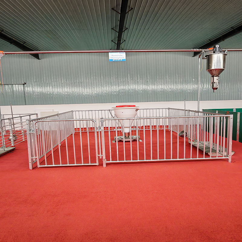 أقلام التسمين الكبيرة أقلام التسمين الكبيرة