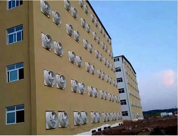 Hunan Lianyuan 6,000 sow breeding plant project Hunan Lianyuan 6,000 sow breeding plant project