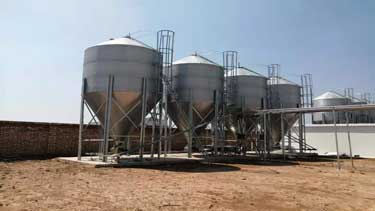 ฟีดไซโล ฟีดไซโล