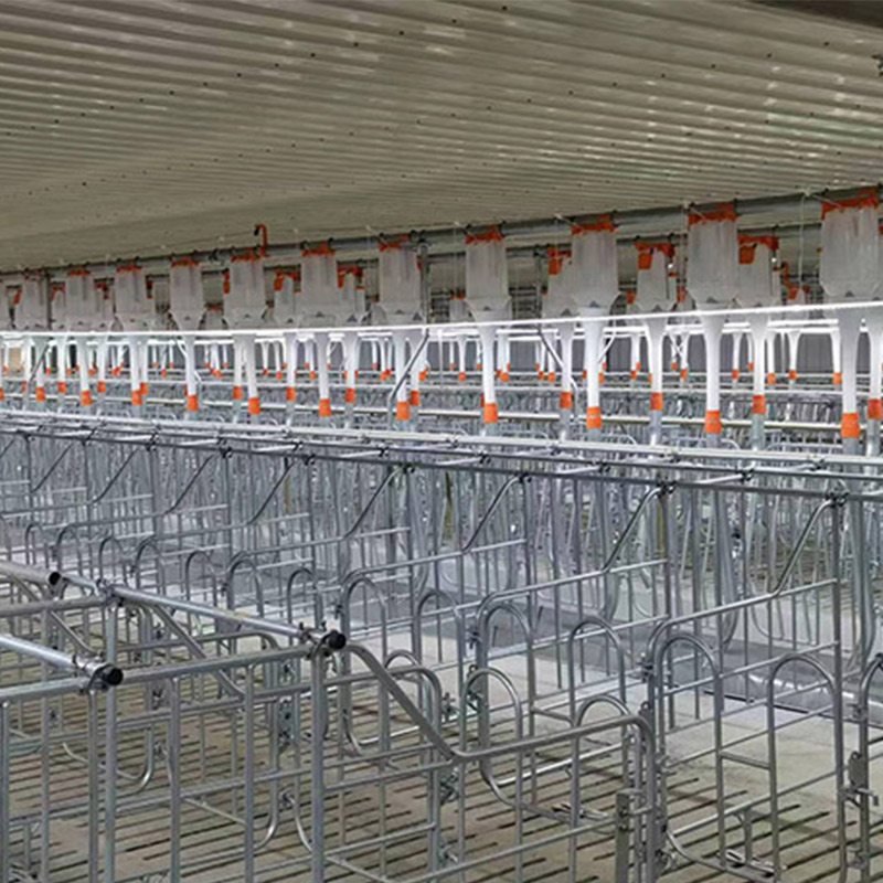 Ящик для беременных