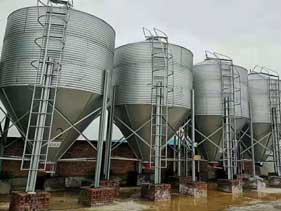 ฟีดไซโล ฟีดไซโล