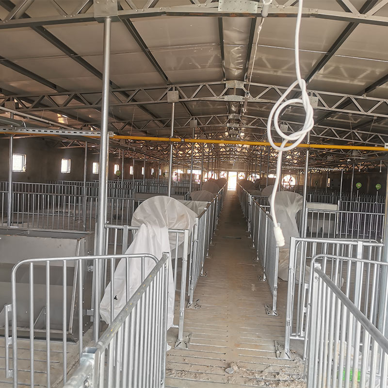 Большой забор для поросят