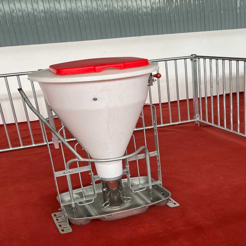 Влажный и сухой питатель