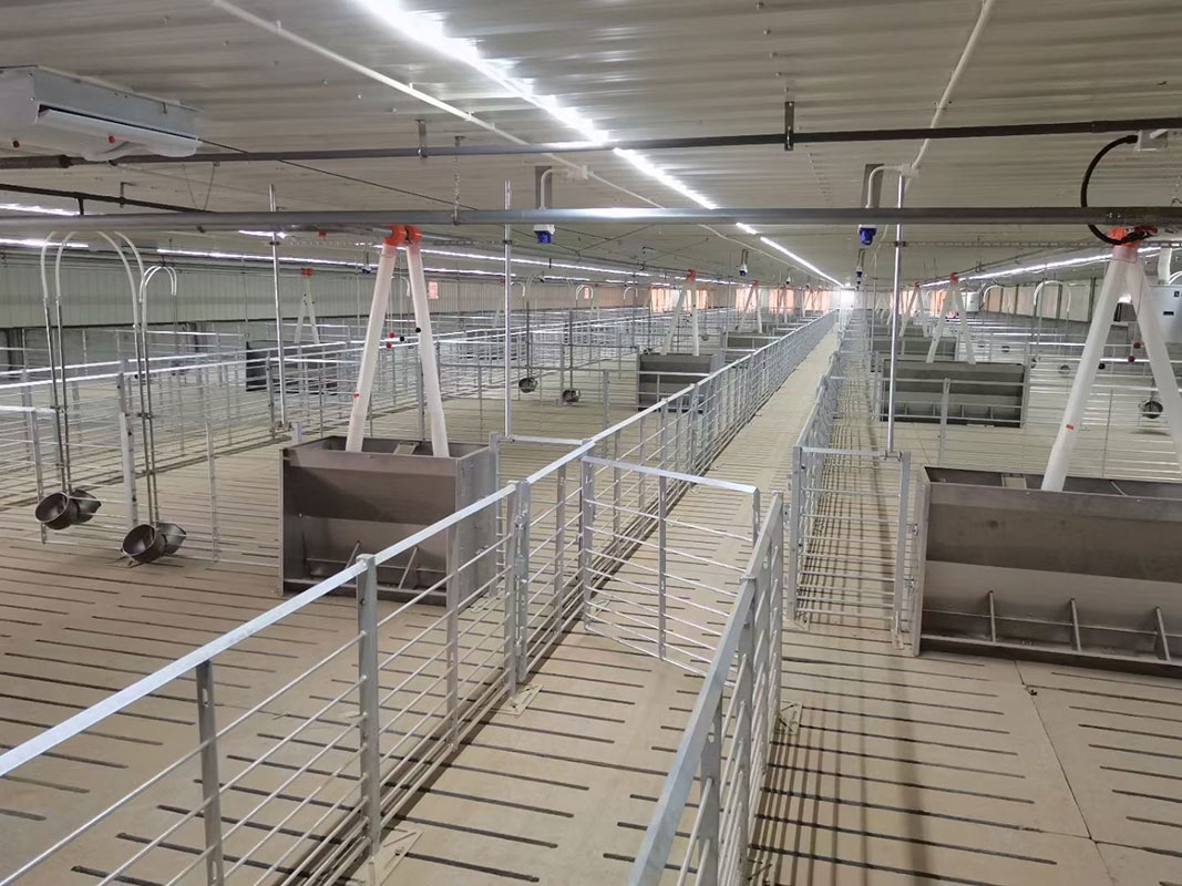 Большой забор для поросят Большой забор для поросят