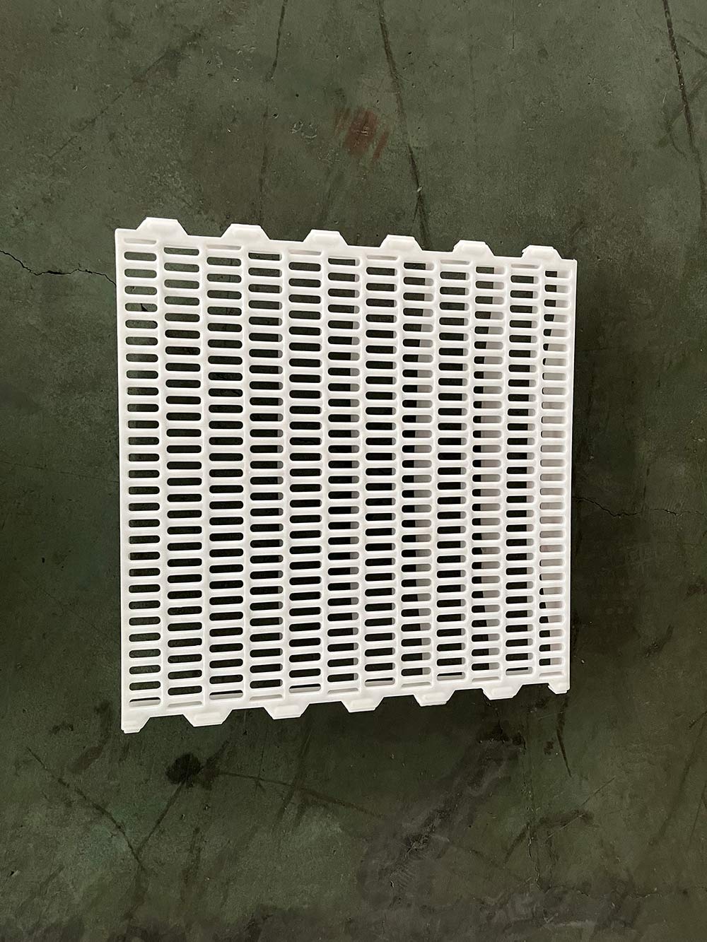 พื้นพลาสติก พื้นพลาสติก