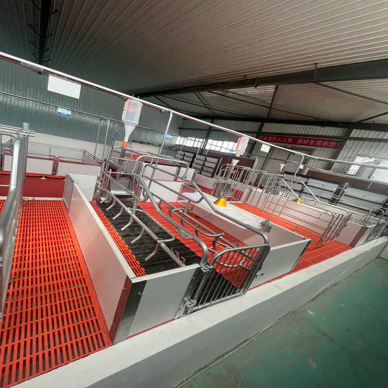 Giường đẻ heo con