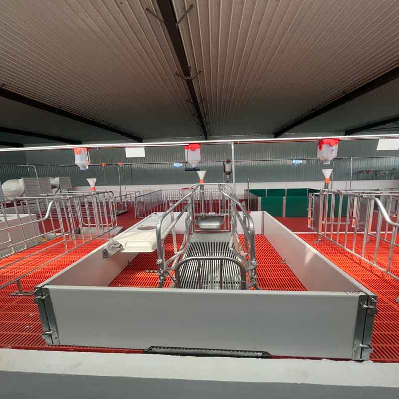 Giường đẻ heo con