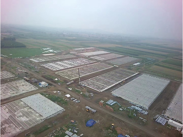 Hubei 9,000 sow breeding plant + 120,000 fattening pigs factory project Hubei 9,000 sow breeding plant + 120,000 fattening pigs factory project