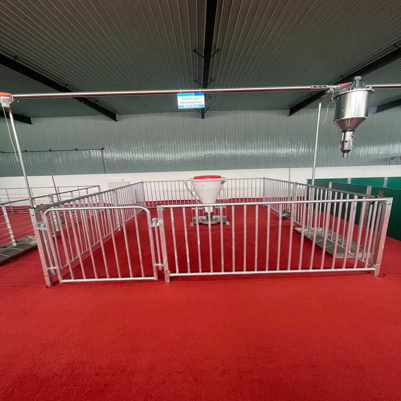 Влажный и сухой питатель