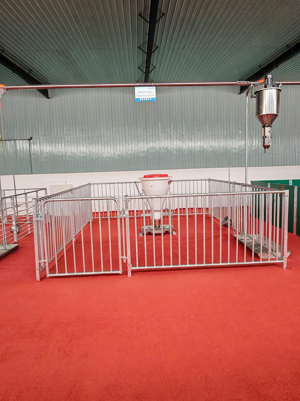 Забор для сбора спермы у хряков Забор для сбора спермы у хряков