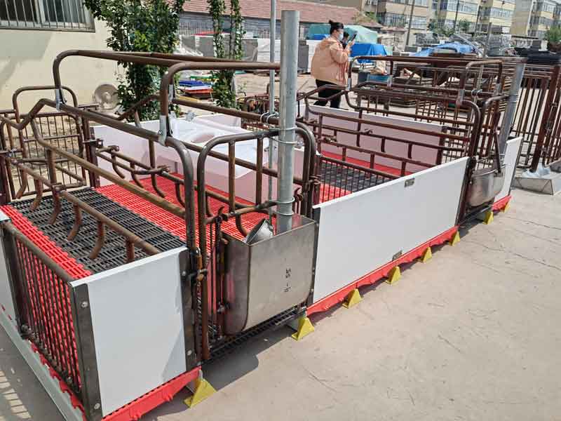 Giường đẻ heo con Giường đẻ heo con