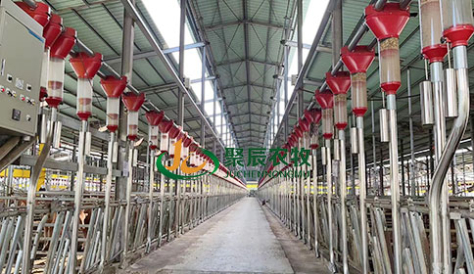 Qingdao Huangdao 50,000 fattening pigs plant project