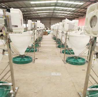 Влажный и сухой питатель Влажный и сухой питатель