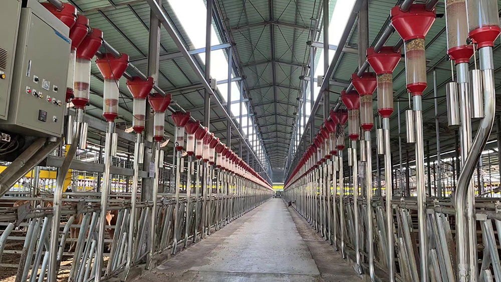 Shandong Juchen Agricultural and Animal Husbandry Science and Technology Co., Ltd. Shandong Juchen Agricultural and Animal Husbandry Science and Technology Co., Ltd.